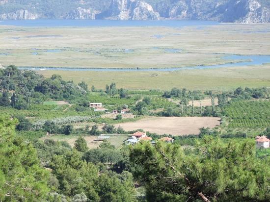 Köyceğiz Çandır'da 19.334m2 Satılık Tarla