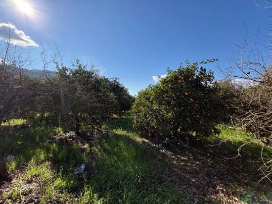 Okçular'da Yerleşik Alanında 4,326m2 Satılık Arsa