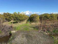 Ortaca Tepearası Mah. Satılık Tarla - Bağ & bahçe İmar Durumlu - 23.000 m²