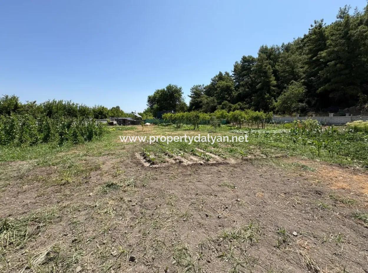 Dalyan Karadağ Mevkiinde 2500M2 Tarla İçerisinde 120M2 Müstakil Ahşap Ev