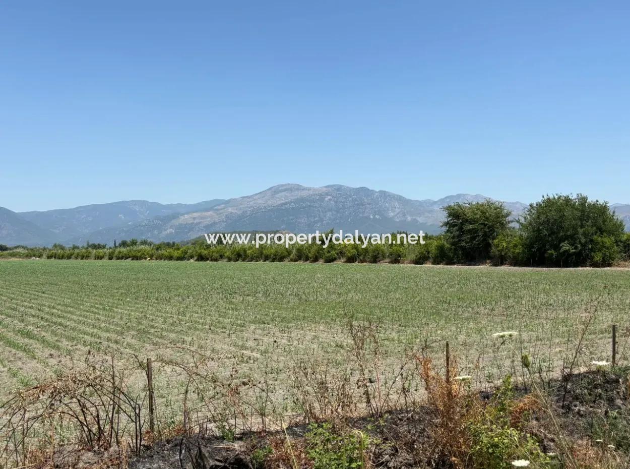 Tepearası'nda 46,550M2 Satılık Tarla