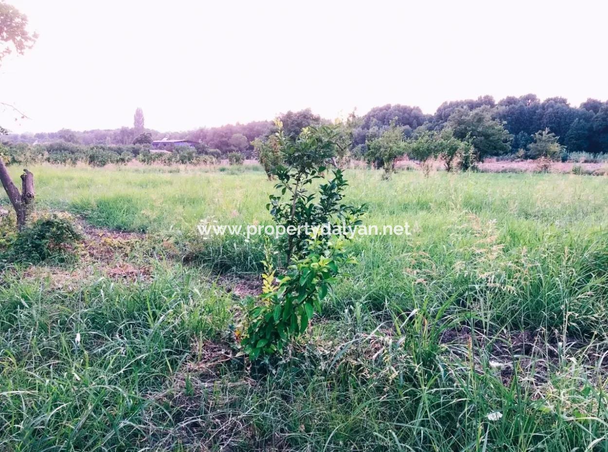 Okçularda Satılık Arsa Okçular Marmarlı Satılık  1,500M2 Satılık Arsa