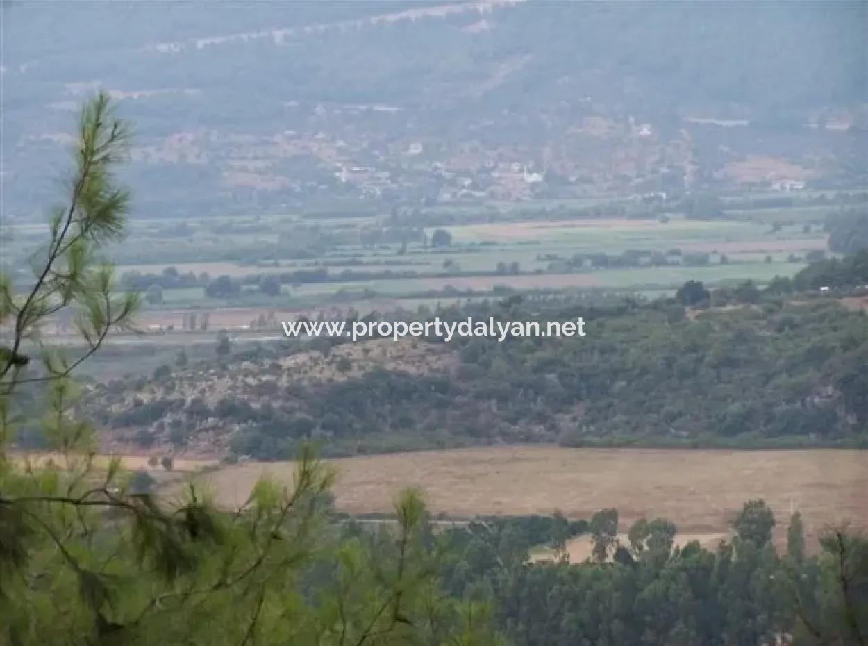 Gökçe Satılık Arsa Gökçe 21671M2 Satılık Tarla