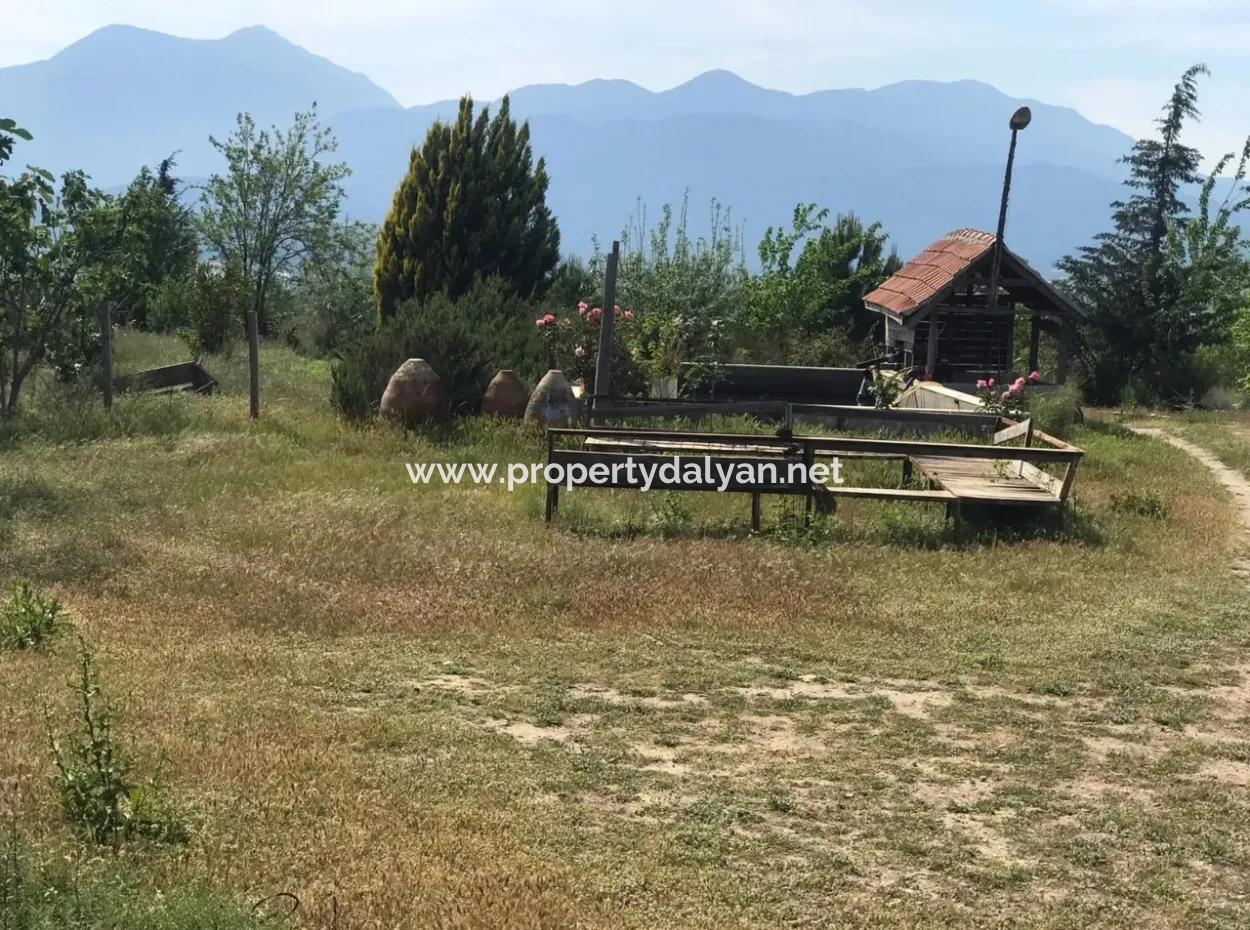Seydikemer Korubükün Satılık 76000M2 Ciftlik Arazisi