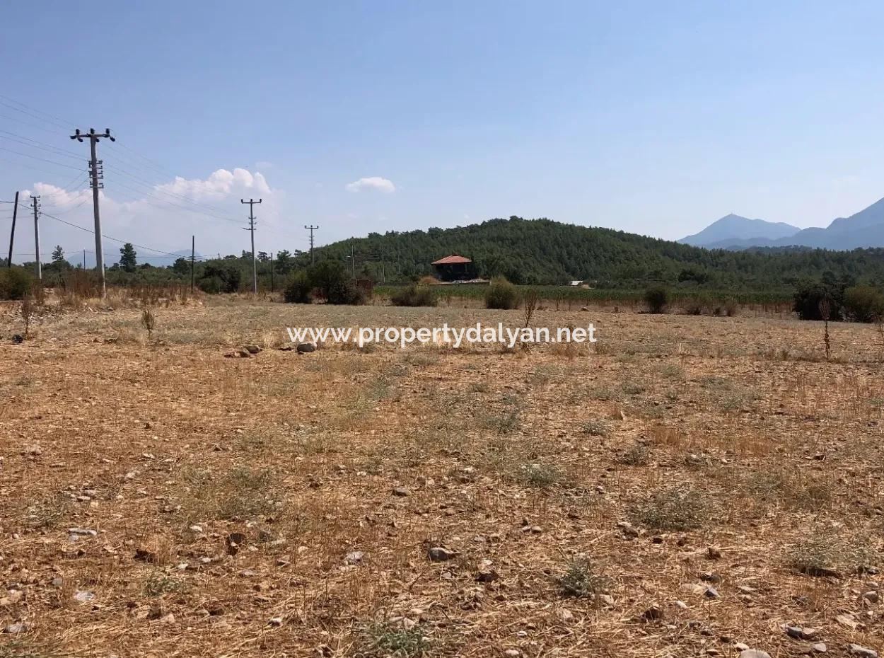 Köyceğiz Zeytinalanı'nda Göl Manzaralı 11.227M2 Satılık Arsa