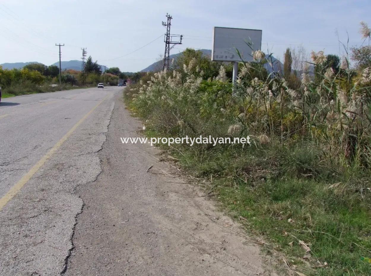 Güzelyurt Da Satılık Arsa Ana Yola Sıfır 5515M2 Satılık Arsa