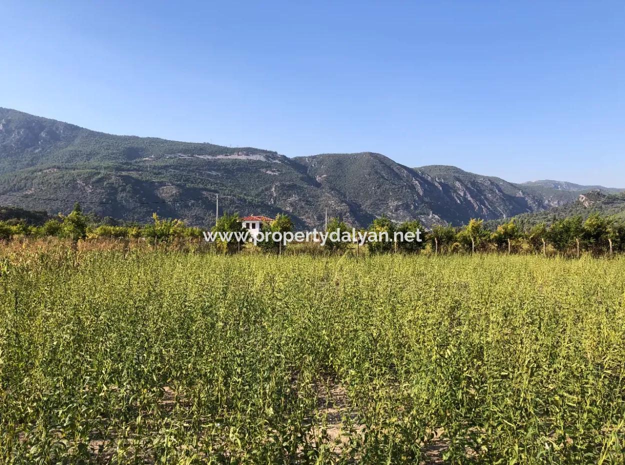 Akçapınarda Satılık Tarla 100 Dönüm Satılık Tarla