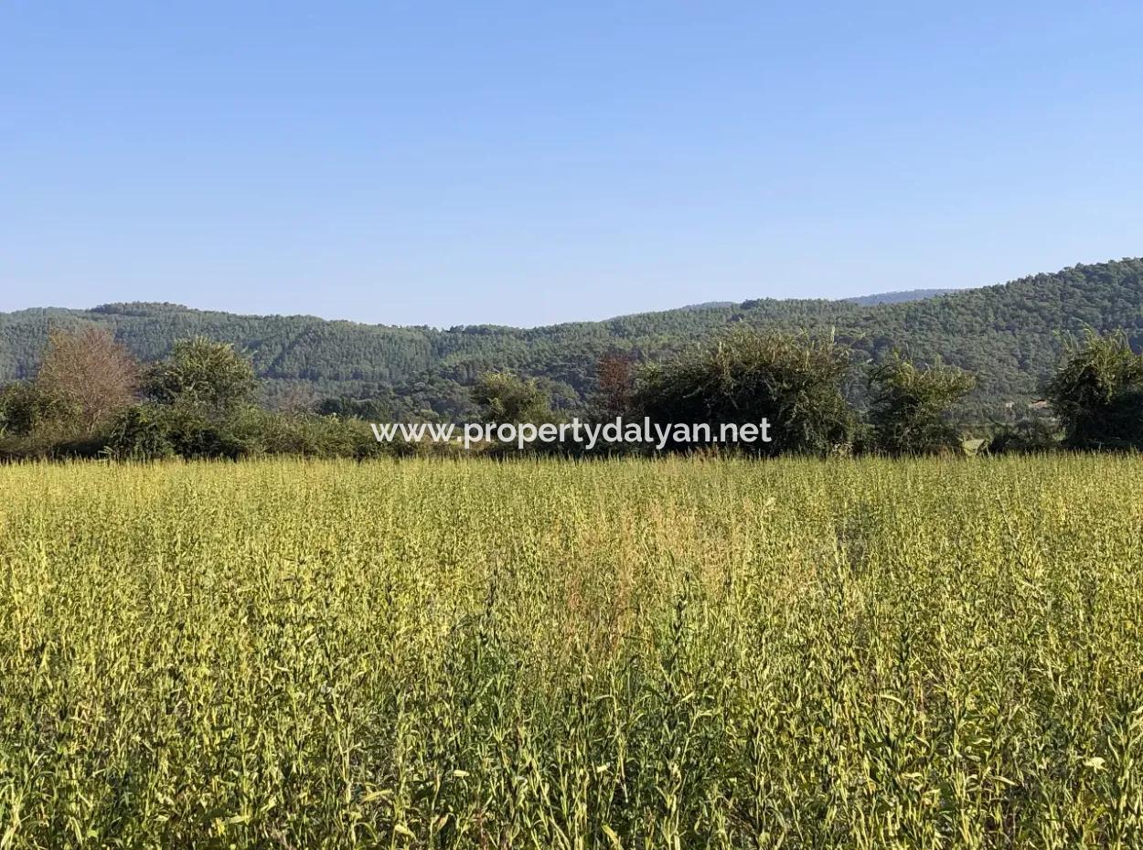 Akçapınarda Satılık Tarla 100 Dönüm Satılık Tarla