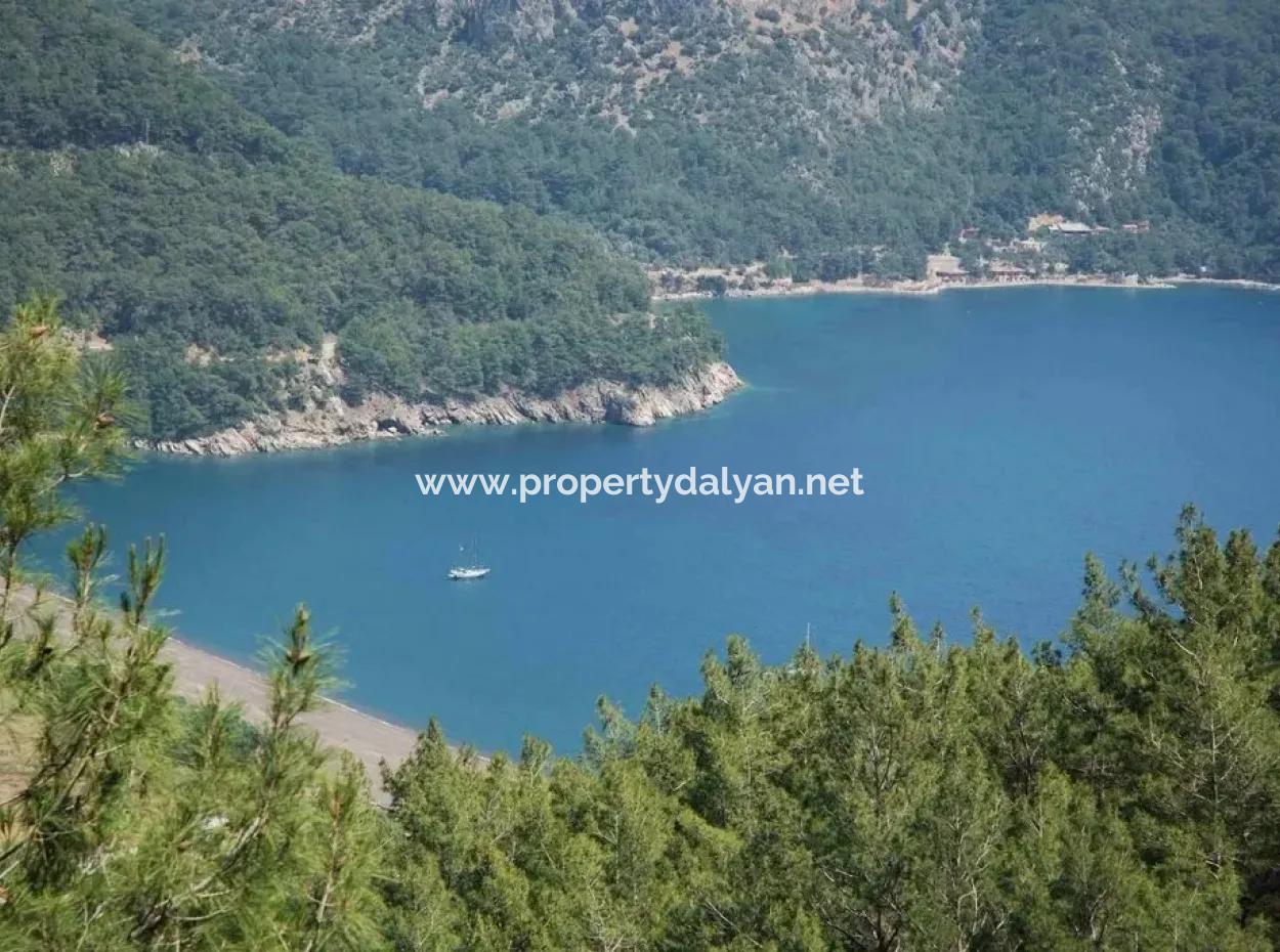 Ekincik Satılık Arsa Full Deniz Manzaralı 10885M2 Denize Bir Parsel Satılık Arsa