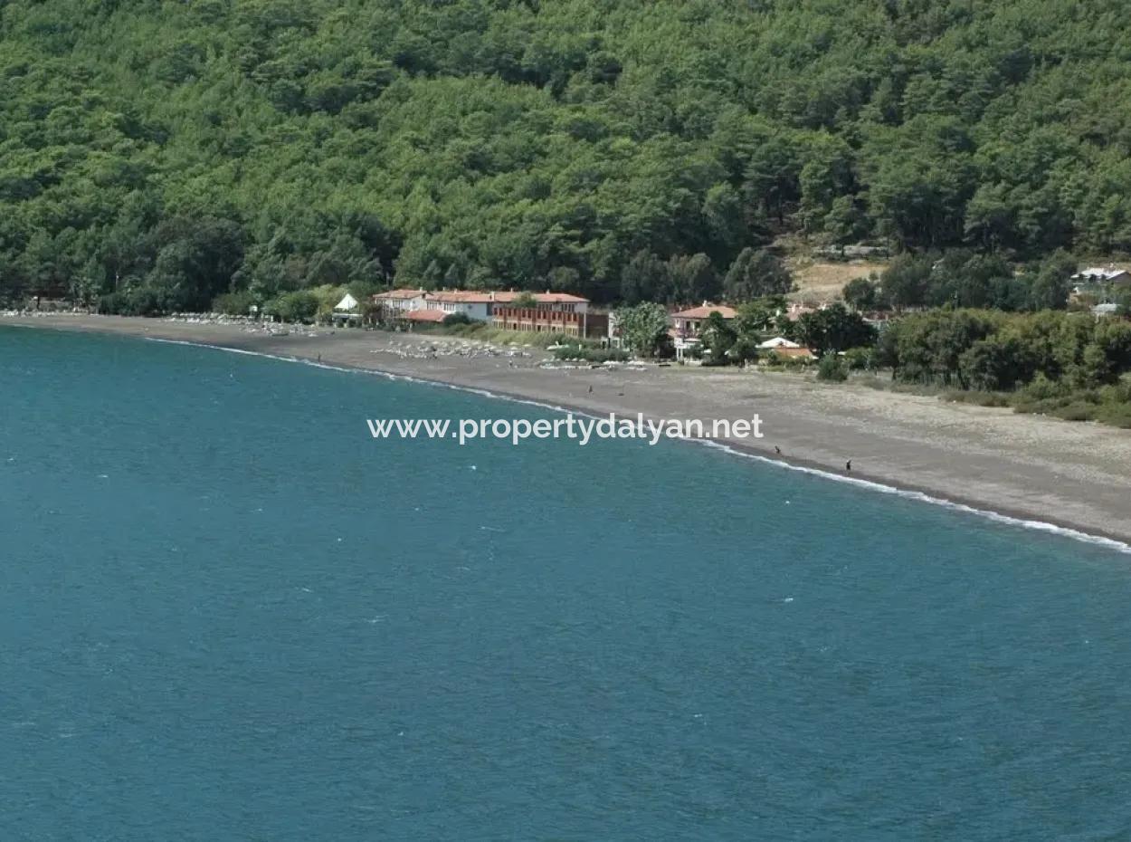 Ekincik Satılık Arsa Full Deniz Manzaralı 10885M2 Denize Bir Parsel Satılık Arsa