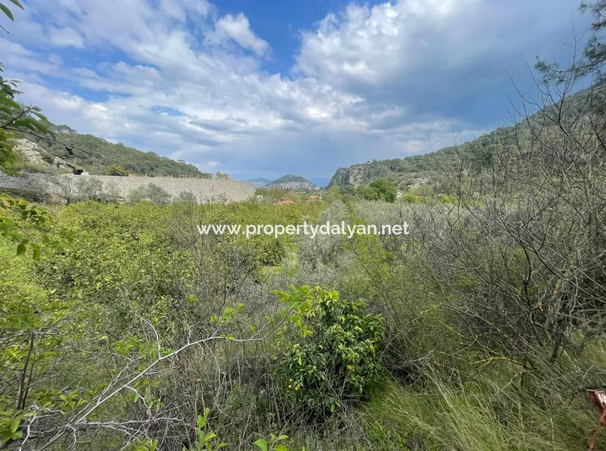 Çandır'da Yola Sıfır 5000M2 Satılık Tarla