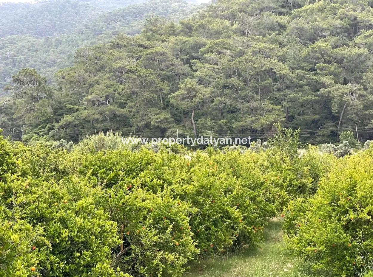 Gökbelde 14,000M2 Satılık Tarla