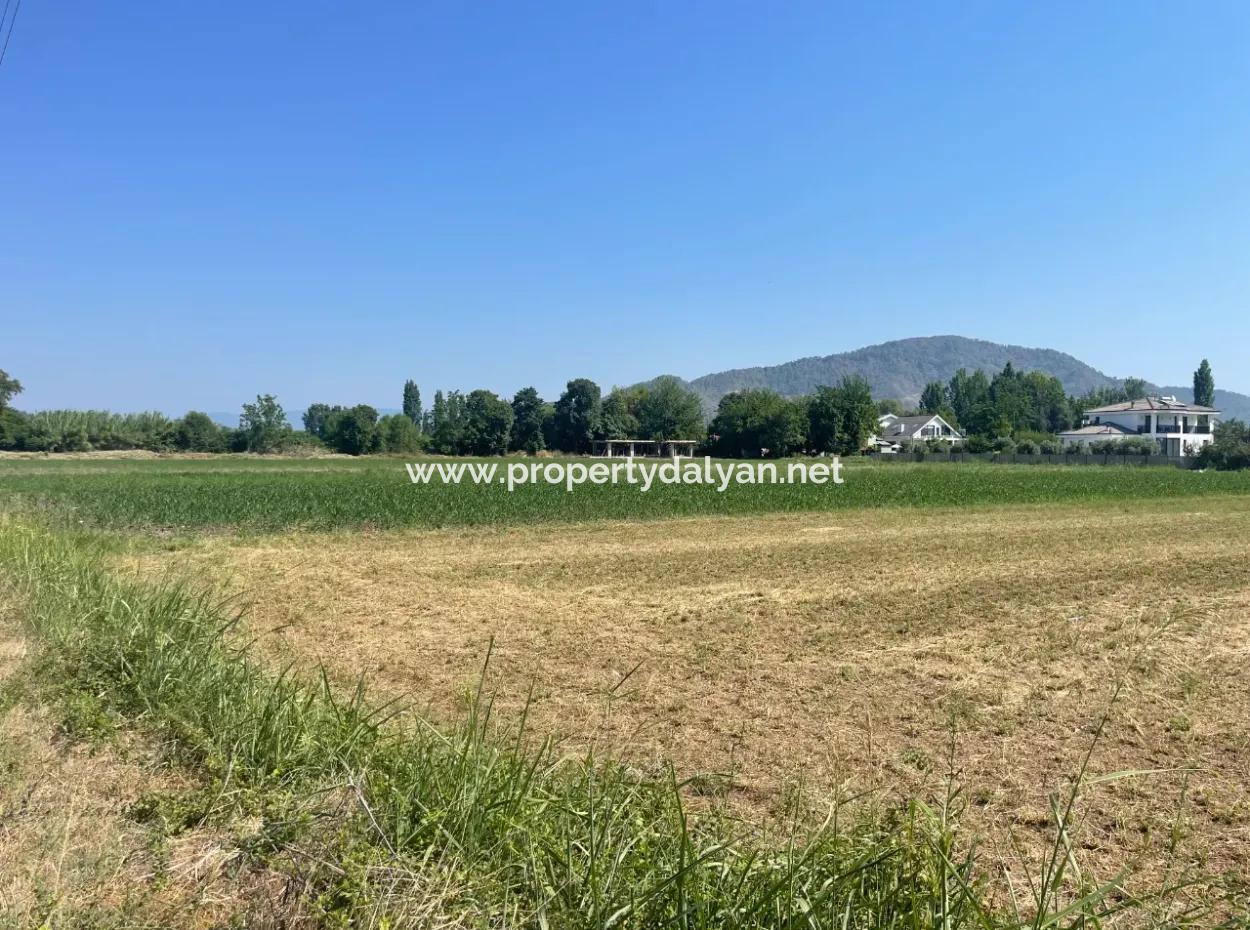 Okçular'da Köy Yerleşik Alanda 2715M2 Satılık Arsa