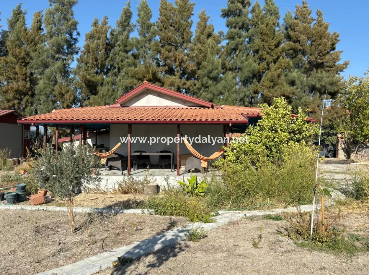 Eskiköy'de 19.663M2 Çiftlik Arazisi Ve Ev Satılıktır