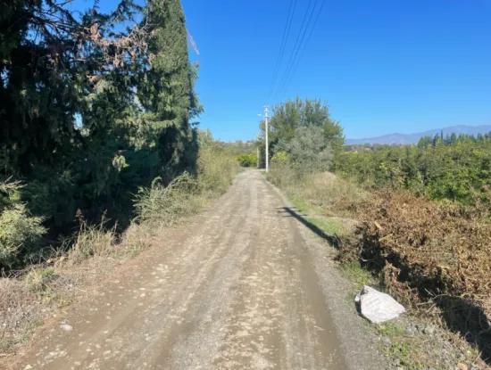 Dalyan'da Satılık 2223M2 Tarla